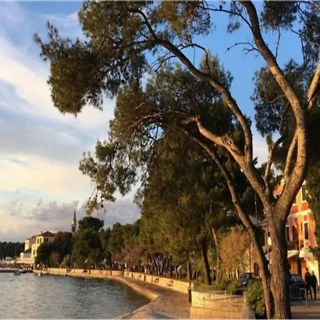 Bright With Pool View Lägenhet