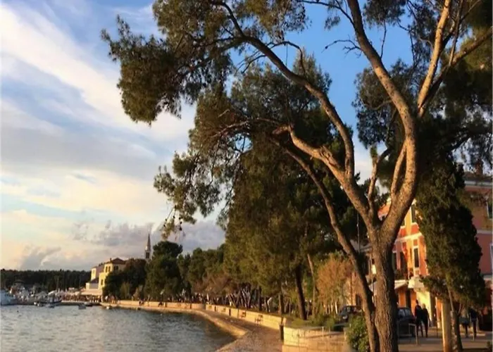 Bright With Pool View Διαμέρισμα